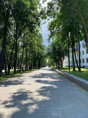 б-р. Культуры,25 в Дегтярске - degtyarsk.yutvil.ru - фото 39