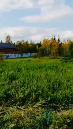 ДП Родной в Дегтярске - degtyarsk.yutvil.ru