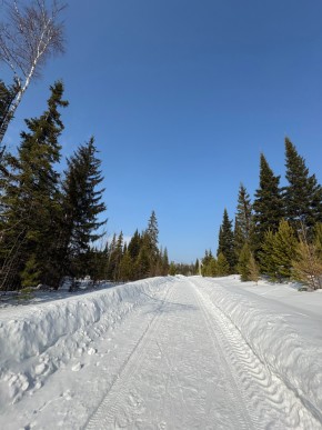 ДП Родной в Дегтярске - degtyarsk.yutvil.ru - фото 7