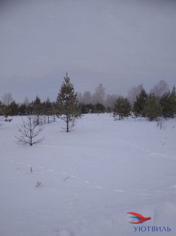 Земельный участок поселок Баженово в Дегтярске - degtyarsk.yutvil.ru - фото 5