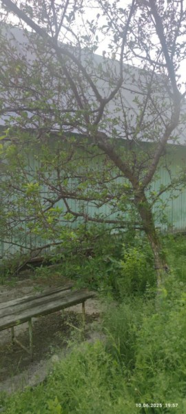 г Верхняя пышма, СНТ Мираж, уч.№ 99 в Дегтярске - degtyarsk.yutvil.ru - фото 26