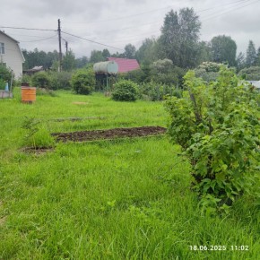 г Верхняя пышма, СНТ Мираж, уч.№ 99 в Дегтярске - degtyarsk.yutvil.ru - фото 8