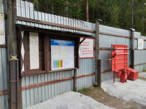 г.Верхняя Пышма СНТ №5 Березки в кв. 22 Среднеуральского Уралмашевского лесхоза в Дегтярске - degtyarsk.yutvil.ru - фото 18
