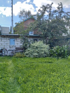 Коллективный сад номер 7, участок 58 в Дегтярске - degtyarsk.yutvil.ru - фото 21