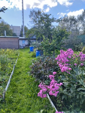 Коллективный сад номер 7, участок 58 в Дегтярске - degtyarsk.yutvil.ru - фото 23
