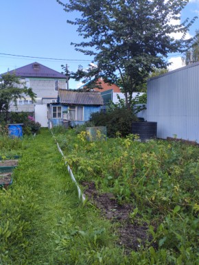 Коллективный сад номер 7, участок 58 в Дегтярске - degtyarsk.yutvil.ru - фото 25
