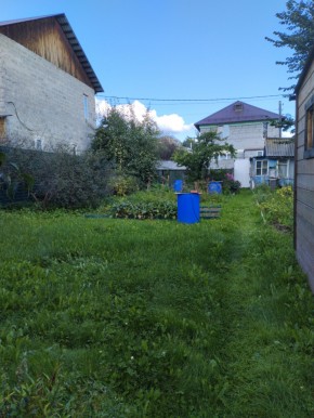 Коллективный сад номер 7, участок 58 в Дегтярске - degtyarsk.yutvil.ru - фото 26