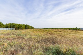 Российская Федерация, Свердловская область, Сысертский городской округ, территория садоводческого некоммерческого товарищества Бобровские дачи, улица Каштановая, земельный участок № 38 в Дегтярске - degtyarsk.yutvil.ru - фото 16