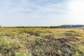 Российская Федерация, Свердловская область, Сысертский городской округ, территория садоводческого некоммерческого товарищества Бобровские дачи, улица Каштановая, земельный участок № 38 в Дегтярске - degtyarsk.yutvil.ru - фото 24