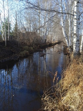 СНТ Берёзка в Дегтярске - degtyarsk.yutvil.ru - фото 14