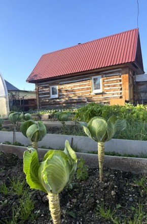 СНТ Дорожник, 97 в Дегтярске - degtyarsk.yutvil.ru - фото 19