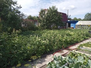 СНТ Медик-2 в Дегтярске - degtyarsk.yutvil.ru - фото 6