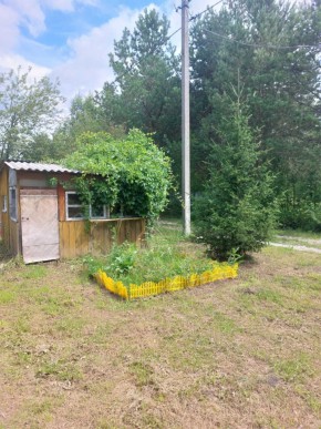 СНТ Родники в Дегтярске - degtyarsk.yutvil.ru - фото 1