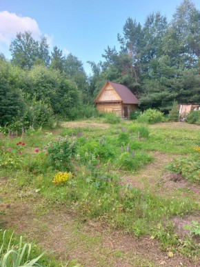 СНТ Родники в Дегтярске - degtyarsk.yutvil.ru - фото 2