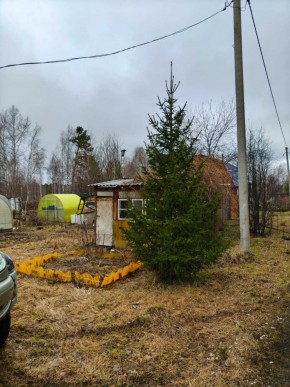 СНТ Родники в Дегтярске - degtyarsk.yutvil.ru - фото 5 СНТ Родники в Дегтярске - degtyarsk.yutvil.ru - фото 5