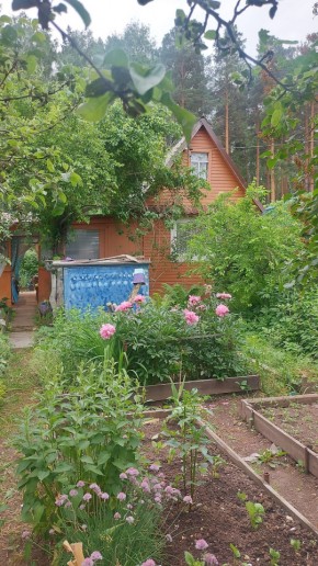 Екатеринбург, СНТ Садовод-24 в Дегтярске - degtyarsk.yutvil.ru