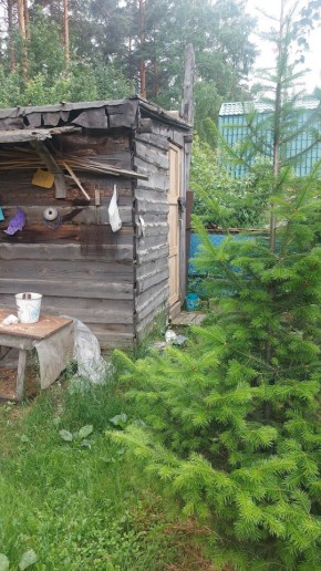 Екатеринбург, СНТ Садовод-24 в Дегтярске - degtyarsk.yutvil.ru - фото 13