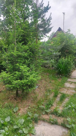 Екатеринбург, СНТ Садовод-24 в Дегтярске - degtyarsk.yutvil.ru - фото 15