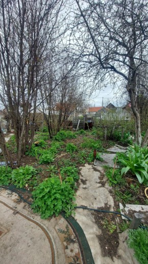 СНТ Сирень, уч. 38 в Дегтярске - degtyarsk.yutvil.ru - фото 7