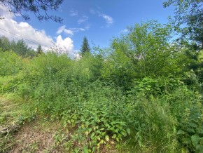 СПК Юбилейный, уч. 9 в Дегтярске - degtyarsk.yutvil.ru - фото 7