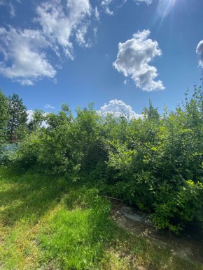СПК Юбилейный, уч. 9 в Дегтярске - degtyarsk.yutvil.ru - фото 8