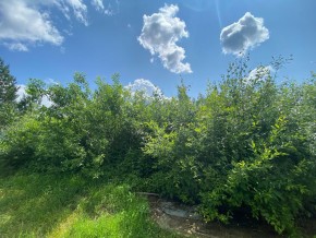 СПК Юбилейный, уч. 9 в Дегтярске - degtyarsk.yutvil.ru - фото 9