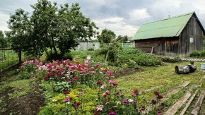 ул. 8-е Марта,46 в Дегтярске - degtyarsk.yutvil.ru - фото 6 ул. 8-е Марта,46 в Дегтярске - degtyarsk.yutvil.ru - фото 6