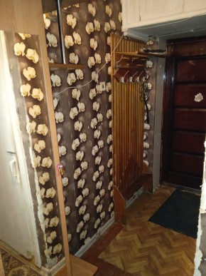 ул. Бажова,11 в Дегтярске - degtyarsk.yutvil.ru - фото 9