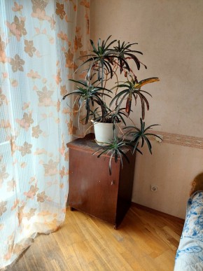 ул. Индустрии,29 в Дегтярске - degtyarsk.yutvil.ru - фото 4