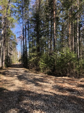 ул. Калиновая,9 в Дегтярске - degtyarsk.yutvil.ru - фото 2 ул. Калиновая,9 в Дегтярске - degtyarsk.yutvil.ru - фото 2