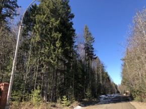 ул. Калиновая,9 в Дегтярске - degtyarsk.yutvil.ru - фото 4 ул. Калиновая,9 в Дегтярске - degtyarsk.yutvil.ru - фото 4