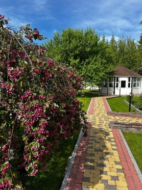 ул. Первомайская,220 в Дегтярске - degtyarsk.yutvil.ru - фото 2