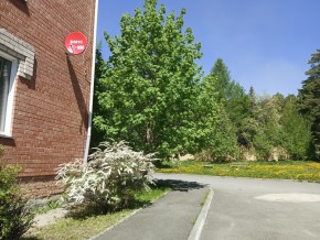 ул. Сосновая, 8 в Дегтярске - degtyarsk.yutvil.ru - фото 25
