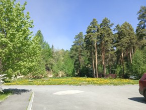 ул. Сосновая, 8 в Дегтярске - degtyarsk.yutvil.ru - фото 26