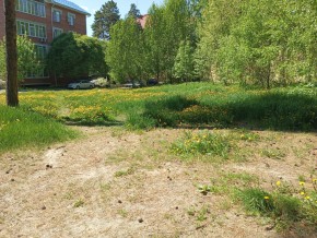 ул. Сосновая, 8 в Дегтярске - degtyarsk.yutvil.ru - фото 33