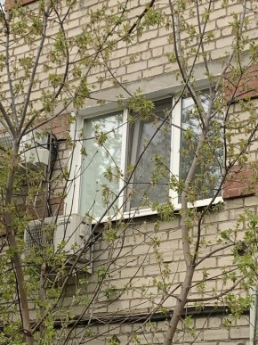 ул. Таганская,8 в Дегтярске - degtyarsk.yutvil.ru - фото 14