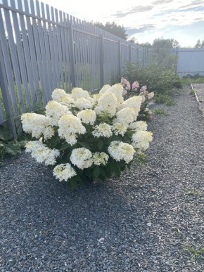 ул. Весенняя,12 в Дегтярске - degtyarsk.yutvil.ru - фото 20